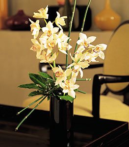  Balkesir iekiler  cam yada mika vazo ierisinde dal orkide