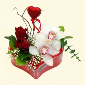  Balkesir hediye sevgilime hediye iek  1 kandil orkide 5 adet kirmizi gl mika kalp