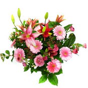 lilyum ve gerbera çiçekleri - çiçek seçimi -  Balıkesir çiçek gönderme 
