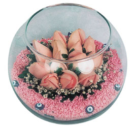  Balıkesir internetten çiçek satışı  cam fanus içerisinde 10 adet gül