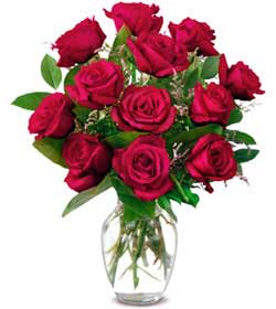  Balıkesir online çiçek gönderme sipariş  1 düzine kirmizi gül sevenlere özel vazo gülleri