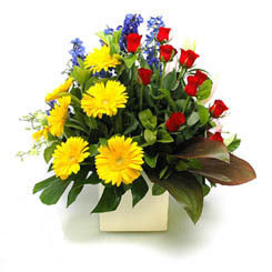  Balıkesir online çiçek gönderme sipariş  9 adet gül ve kir çiçekleri cam yada mika vazoda