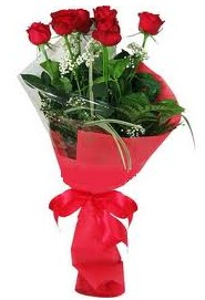 Çiçek yolla sitesinden 7 adet kırmızı gül  Balıkesir internetten çiçek satışı 