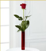 Vazo içerisinde 1 adet kırmızı gül  Balıkesir internetten çiçek siparişi 