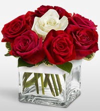 Tek aşkımsın çiçeği 8 kırmızı 1 beyaz gül  Balıkesir uluslararası çiçek gönderme 