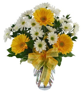 sarı ve beyaz kır çiçeklerinden vazo tanzimi