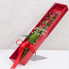 Kutu içerisinde 3 adet kırmızı gül  Balıkesir online çiçek gönderme sipariş 
