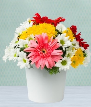 Seramik Vazoda Gelbera ve Papatya  Balıkesir çiçek gönderme 