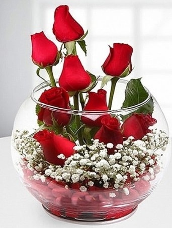 Kırmızı Mutluluk fanusta 9 kırmızı gül  Balıkesir çiçek siparişi sitesi 