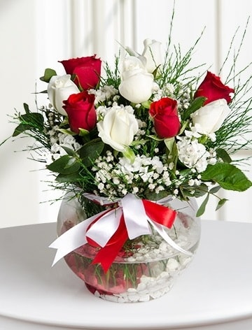 Aşk Küresi  5 beyaz 5 kırmızı gül fanusta  Balıkesir internetten çiçek satışı 